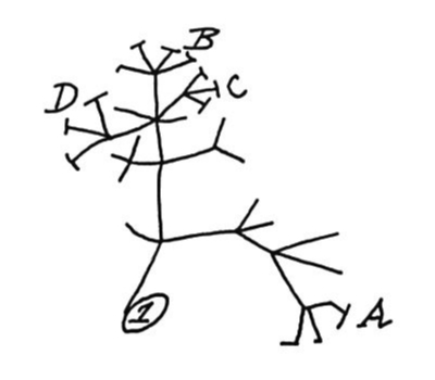 Darwin's First Phylogeny